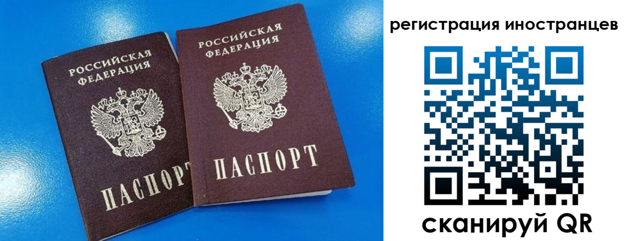 временная регистрация поиск в Видном