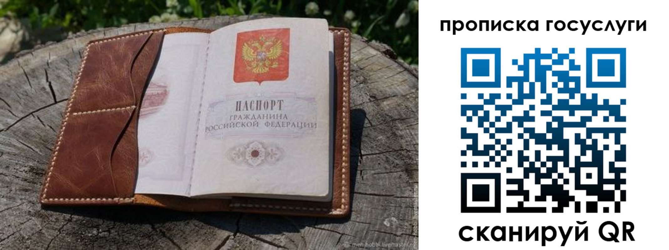 прописка для школы в Видном